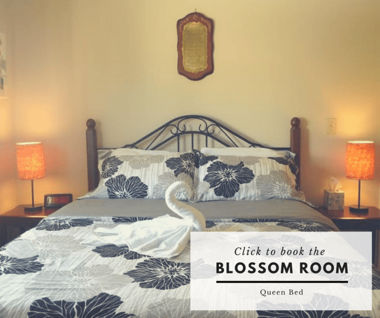 Blossom Room